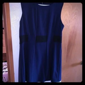 Navy Flare Dress